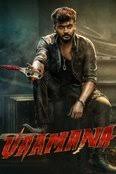 Vaamana (2025) Telugu Movie